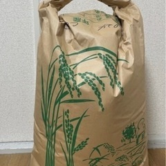 令和6年 きぬむすめ 30kg 玄米