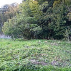 自由に使える3000㎡以上の広〜い土地（裏山の竹藪合わせて）敷地貸し出します！行橋市の田舎の土地★前の川でホタルの養殖しています - 不動産