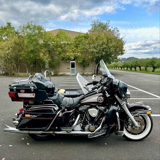 1989エボFLHサイドカー 4人乗り車検付き安心の左側車、タイヤ3