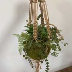 フェイクグリーンの画像