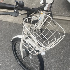 ビッケジュニア　ホワイトの画像