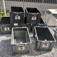 メダカ稚魚など飼育ケース