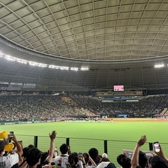 - 関東オリックスバファローズ応援仲間募集 -