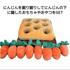 にんじん畑　ノーズワークマット　ベビー&ペット知育玩具　にんじん収穫　にんじん狩の画像
