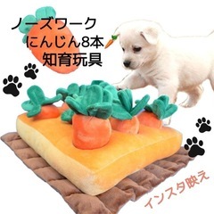 にんじん畑　ノーズワークマット　ベビー&ペット知育玩具　にんじん...