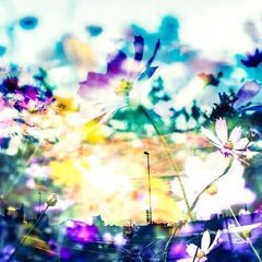 引き寄せに興味があるあなたへ