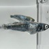 ランキングキーワードに紐づく投稿画像-メダカ