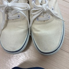 VANSスニーカーの画像
