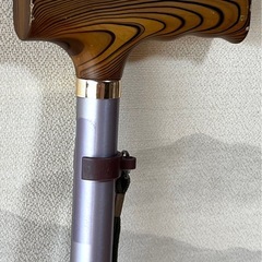 杖   WF1709の画像