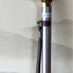 杖   WF1709の画像