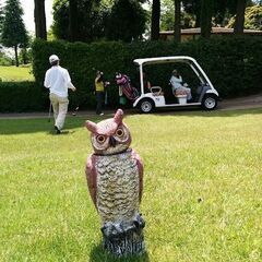 カニ食べ放題GOLF − 茨城県