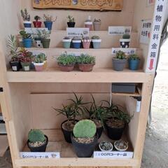 🌵多肉園ひだまり🌵(無人販売所)