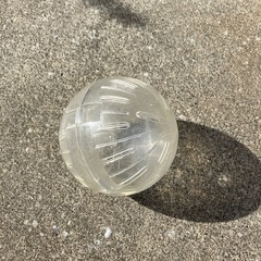 ハムスターお散歩ボール