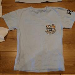 パンダTシャツ4点120.130.150の画像