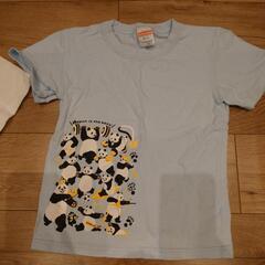 パンダTシャツ4点120.130.150の画像