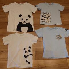パンダTシャツ4点120.130.150