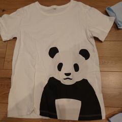 パンダTシャツ4点120.130.150の画像