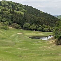 6月4日(水)　ゴルフ仲間募集
