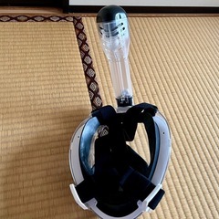 シュノーケルセットの画像