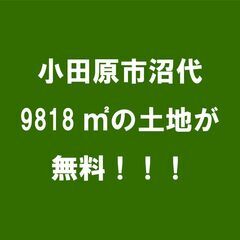 小田原市沼代231平方メートルが無料
