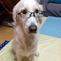 気楽におしゃべり出来る人よろしく‥犬散歩ご一緒に