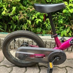 STRIDER  ストライダー【正規品】の画像