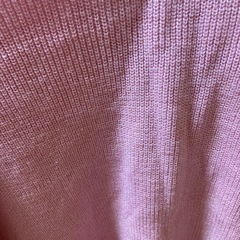 レディーストップスの画像