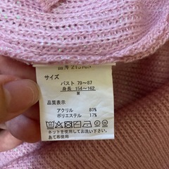 レディーストップスの画像