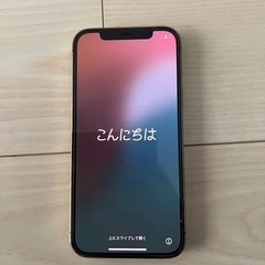 iPhone 12 pro 