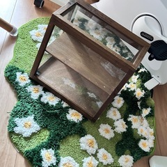 サリュ　リサイクルウッド　ディスプレイケース