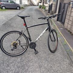 FUJi RAFFISTA 21インチ　Lサイズ