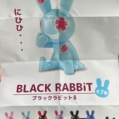 ブラックラビット