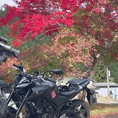 一緒に走ってくれる人募集！