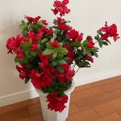 人工観葉植物・フェイクグリーン（アザレア）