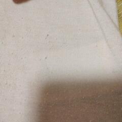 140cmすみっコぐらし薄手ロンTの画像