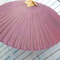 高級羽二重傘 和傘 番傘2本まとめ売り/破れ箇所有・現状渡し/中古品の画像