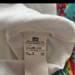 Lee Lサイズ爽やかVネックＴシャツの画像