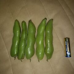 完売しました。次回投稿をお待ち下さい🙇そら豆です。１００ｇ無農薬...
