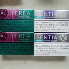 オアシスパール×２　スムースバイオレット×２