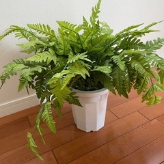 人工観葉植物・フェイクグリーン（シダ）