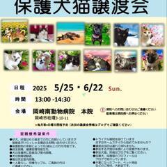 5月25日（日）保護犬＆保護猫の譲渡会、開催します！