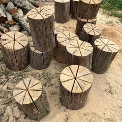 ログトーチ⭐︎愉快⭐︎の画像