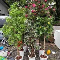 造花の観葉植物の画像