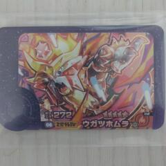 フレンダ交換　オーガポン水の面