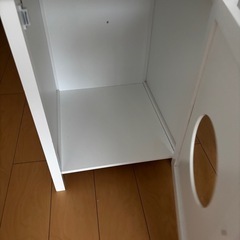 猫、犬　お家の画像
