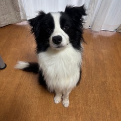 1番目の方と話し中です