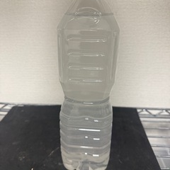 ゾウリムシ　産卵シーズン　めだか　針子の餌　金魚