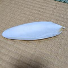 イカの骨 カトルボーン