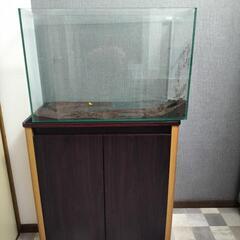 60センチガラス水槽台セット