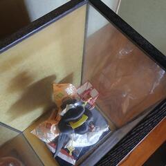 人形☆ケースのみでもお譲りしますの画像